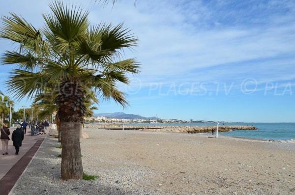 Grand Studio Tres Agreable Avec Bar, Cuisine Et Terrasse 滨海卡涅 外观 照片