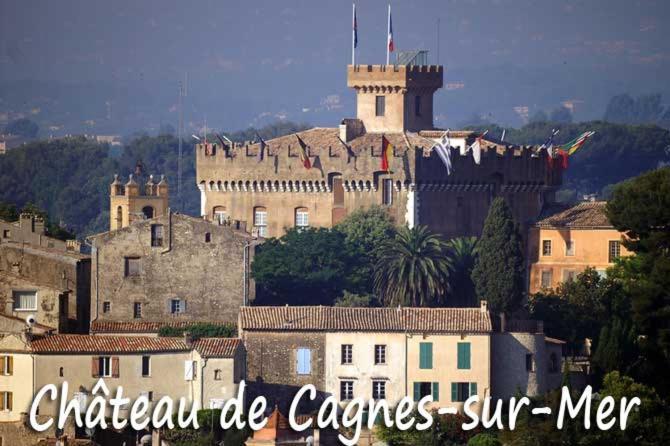 Grand Studio Tres Agreable Avec Bar, Cuisine Et Terrasse 滨海卡涅 外观 照片